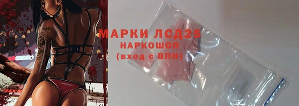 мяу мяу мука Горняк