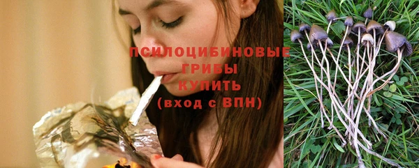 мяу мяу мука Горняк
